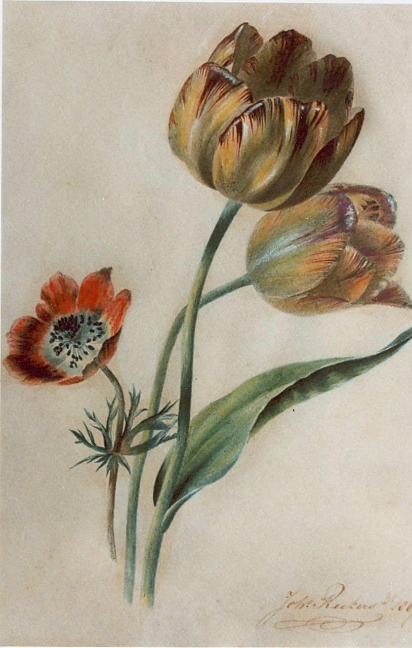 Reekers jr. Joh.  | Johannes Reekers jr., Stilleven van twee tulpen en rode anemoon, aquarel op papier 28,9 x 19,7 cm, gesigneerd rechtsonder en gedateerd 1867