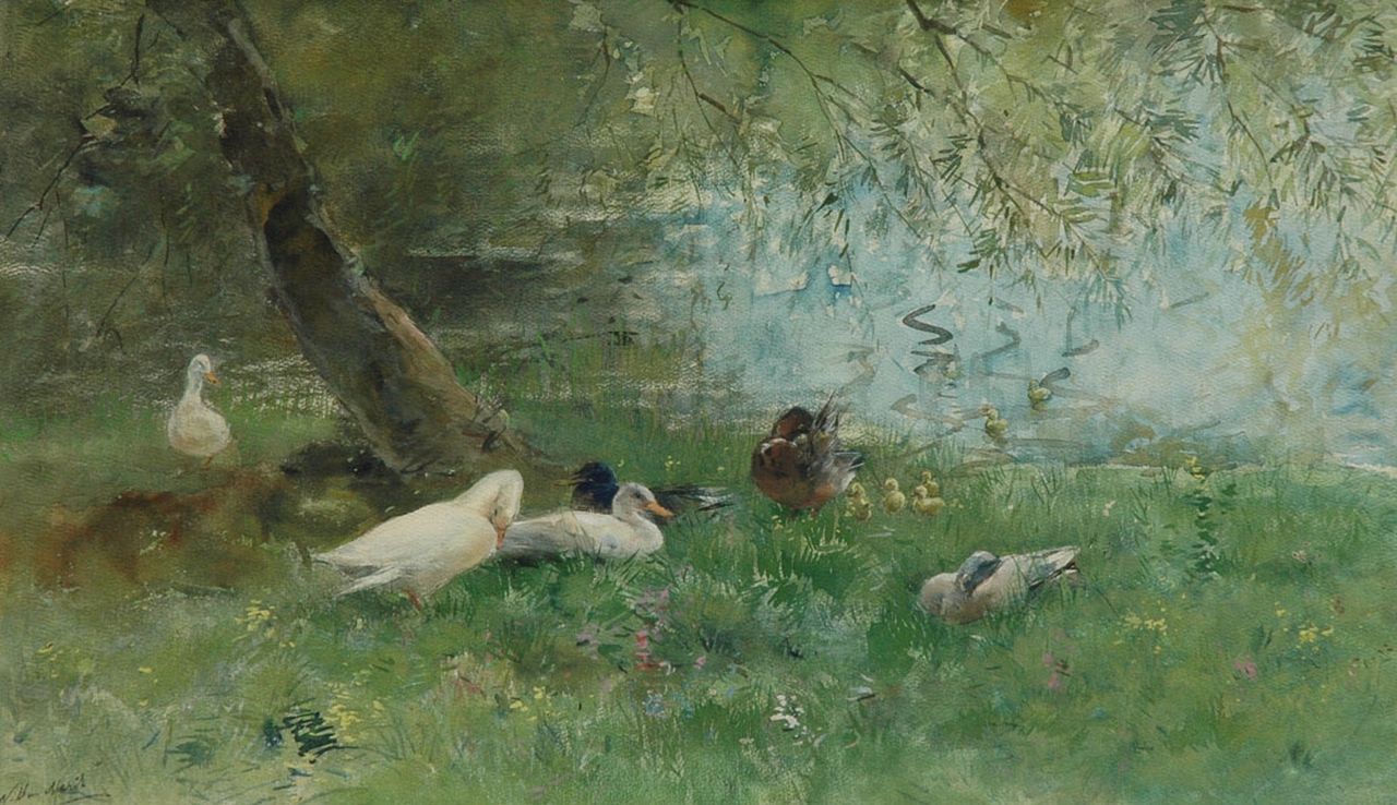 Maris W.  | Willem Maris, Eenden aan de waterkant, aquarel op papier 39,0 x 65,5 cm, gesigneerd linksonder