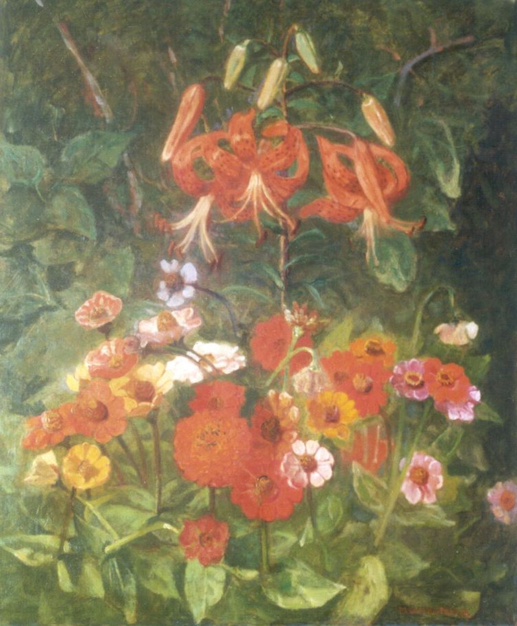 Wandscheer M.W.  | Maria Wilhelmina 'Marie' Wandscheer, Lelies en zinnia's, olieverf op doek 65,5 x 56,6 cm, gesigneerd rechtsonder en op het spieraam