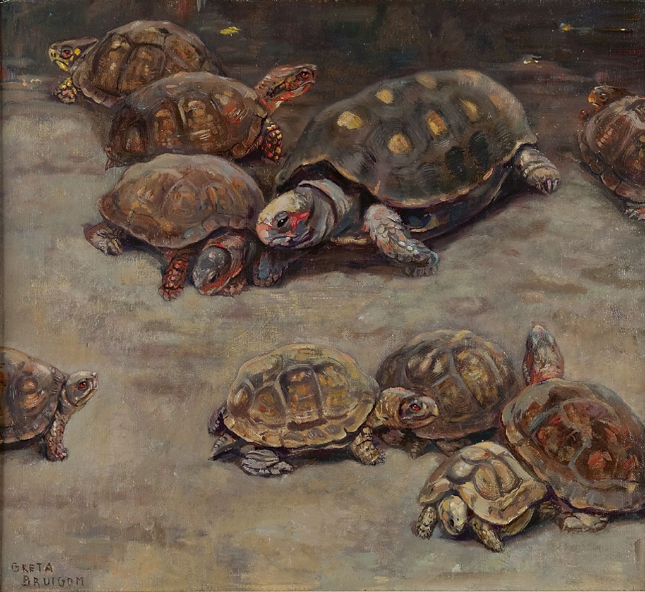 Bruigom M.C.  | Margaretha Cornelia 'Greta' Bruigom, Schildpadden, olieverf op doek 47,7 x 52,5 cm, gesigneerd linksonder