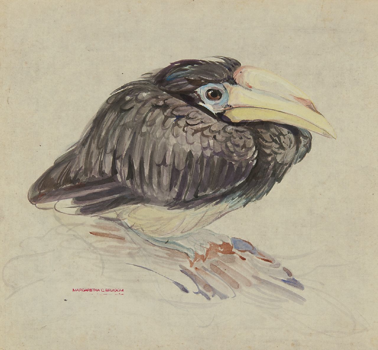 Bruigom M.C.  | Margaretha Cornelia 'Greta' Bruigom, Jonge neushoornvogel, aquarel op papier 32,4 x 35,5 cm, gesigneerd linksonder met naamstempel