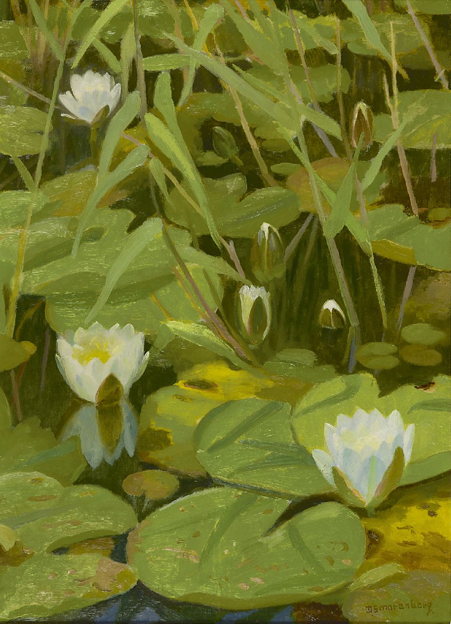 Smorenberg D.  | Dirk Smorenberg, Waterlelies, olieverf op doek 55,0 x 40,0 cm, gesigneerd rechtsonder en verso