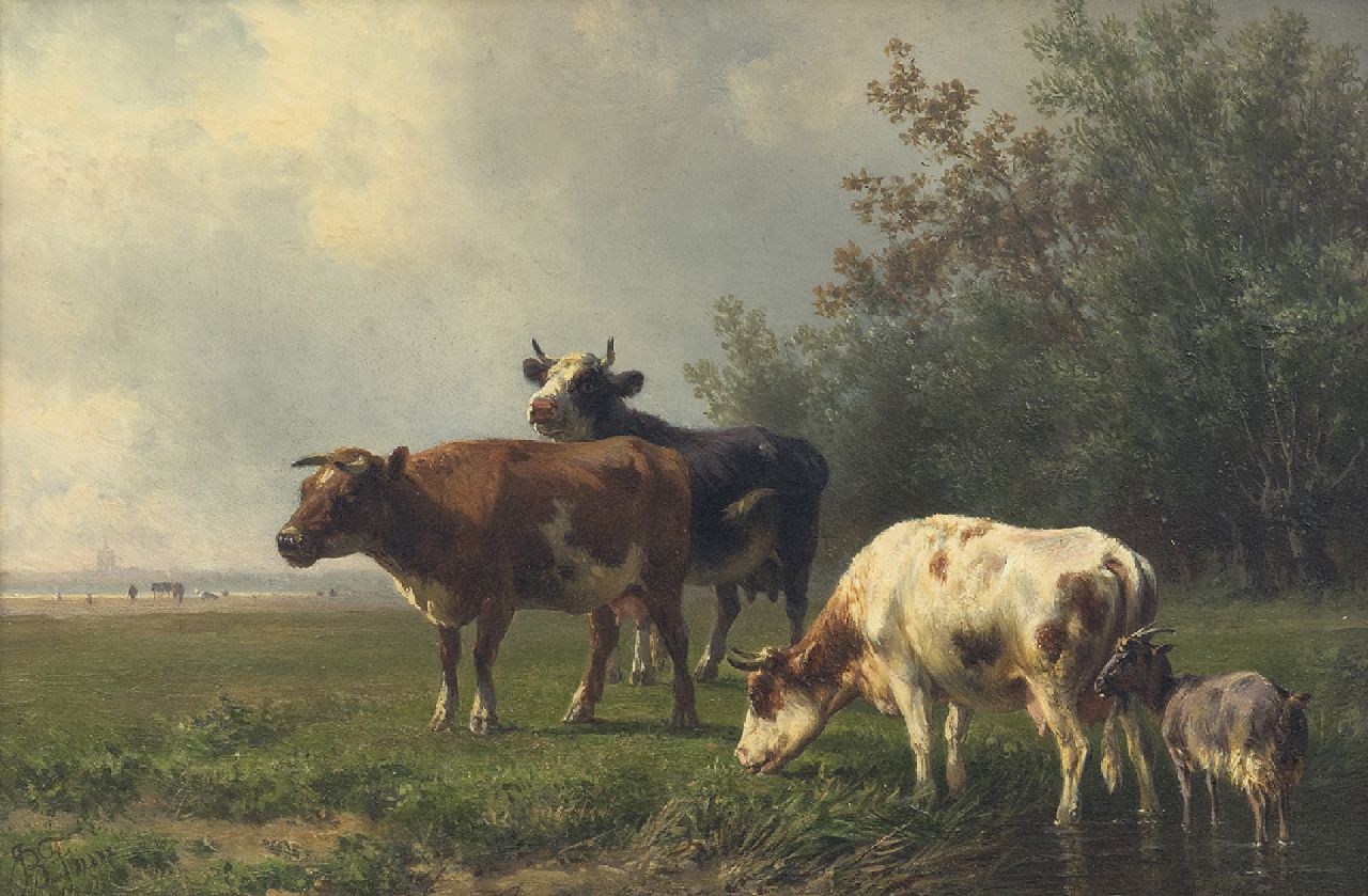 Tom J.B.  | Jan Bedijs Tom, Grazende koeien (alleen samen met pendant), olieverf op paneel 19,7 x 29,4 cm, gesigneerd linksonder