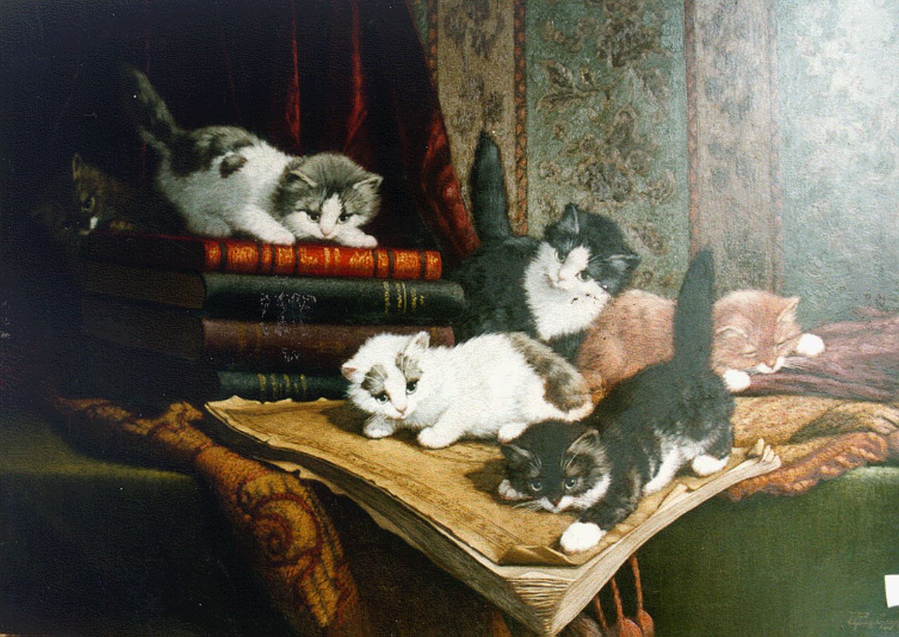 Raaphorst C.  | Cornelis Raaphorst, Zes spelende jonge katjes, olieverf op doek 50,0 x 70,0 cm, gesigneerd rechtsonder