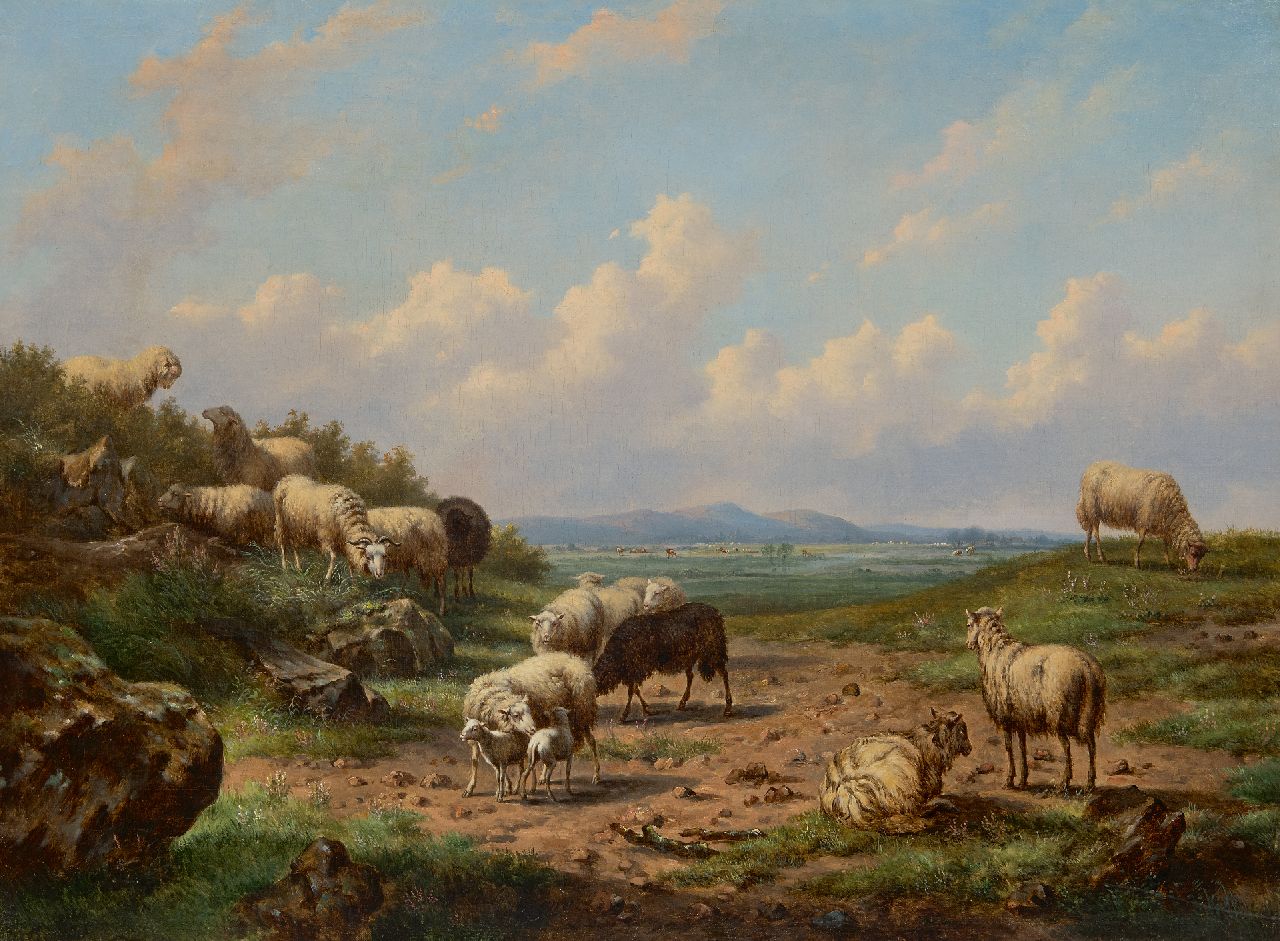 Verwee L.P.  | Louis Pierre Verwee | Schilderijen te koop aangeboden | Schapen in een weids landschap, olieverf op doek 55,8 x 75,5 cm, gesigneerd middenonder