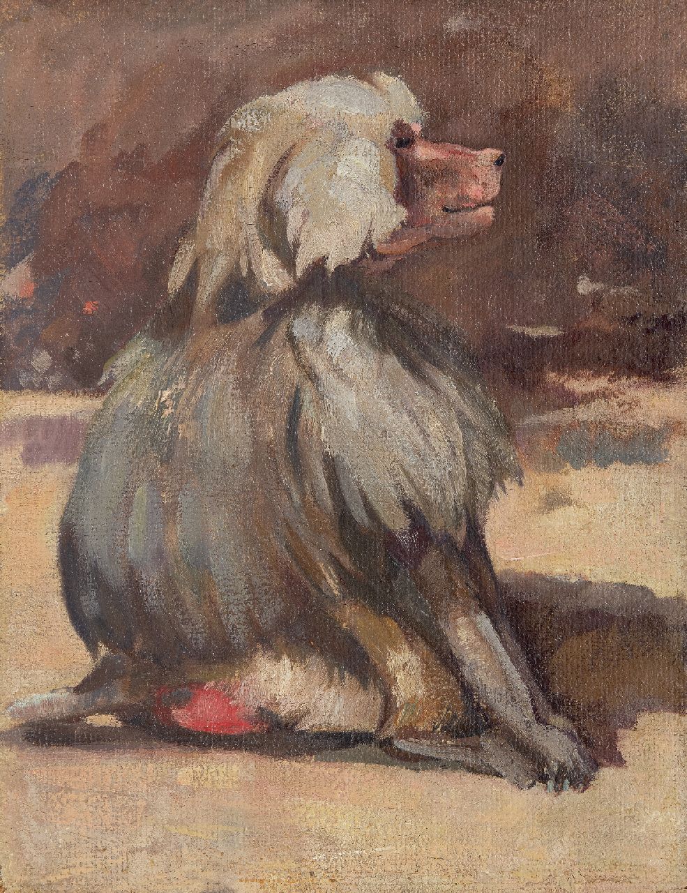 Bruigom M.C.  | Margaretha Cornelia 'Greta' Bruigom, Mantelbaviaan, olieverf op doek op paneel 36,5 x 28,7 cm, gesigneerd verso