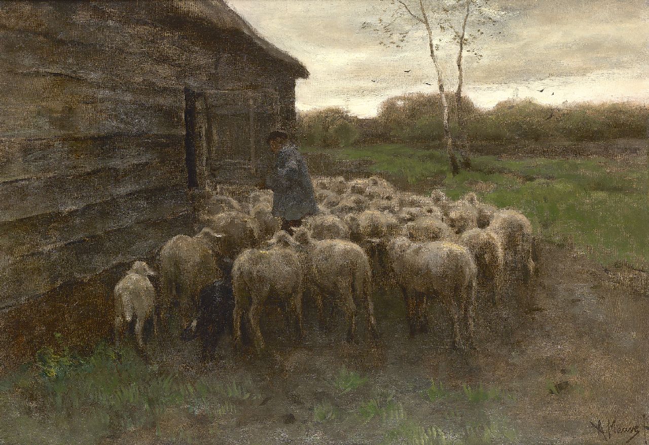 Mauve A.  | Anthonij 'Anton' Mauve, Het voeren van de schapen, olieverf op doek 55,5 x 80,7 cm, gesigneerd rechtsonder