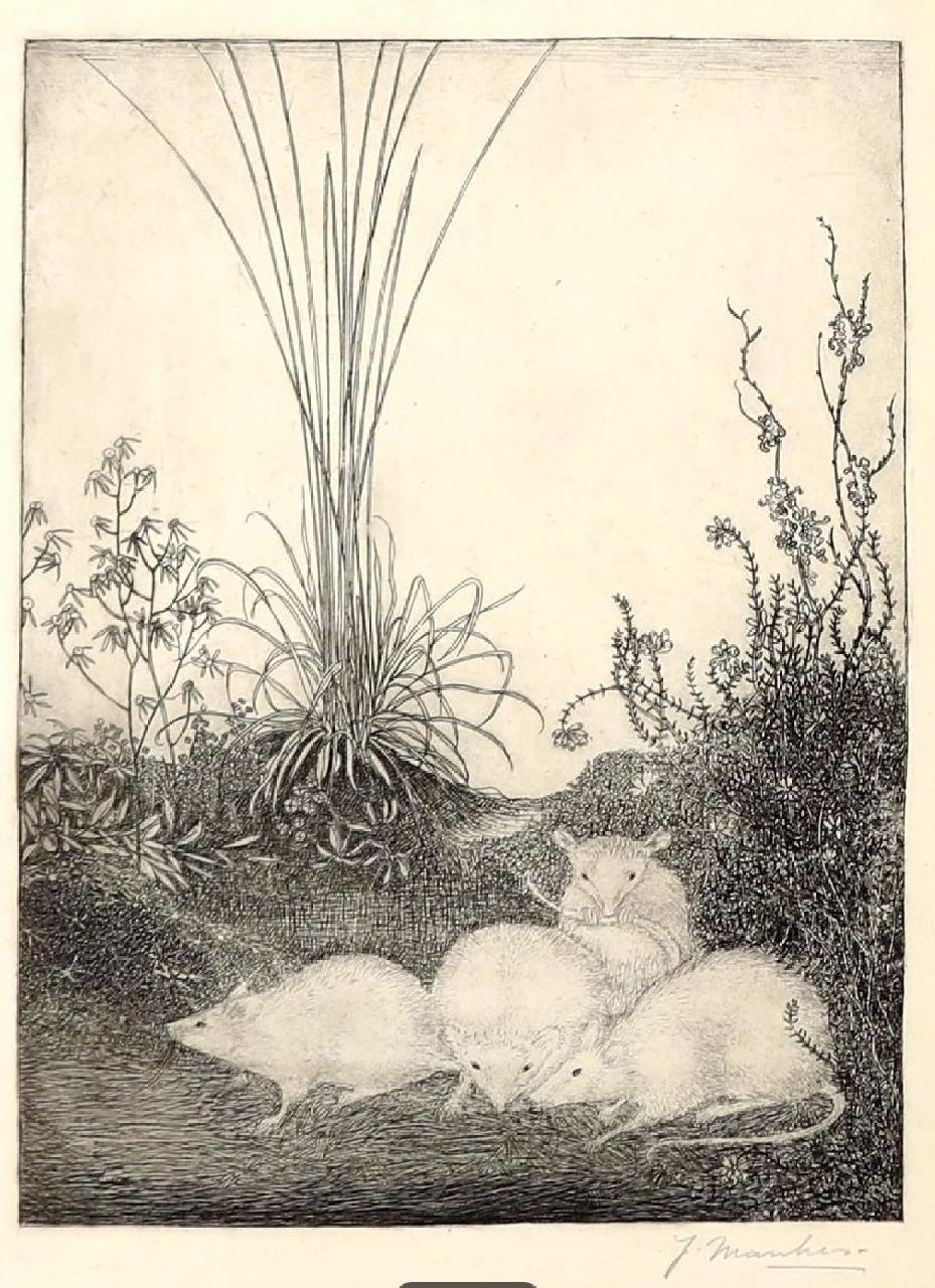 Mankes J.  | Jan Mankes | Grafiek te koop aangeboden | Vier muizen, ets 23,6 x 15,8 cm, gesigneerd rechtsonder en te dateren 1916