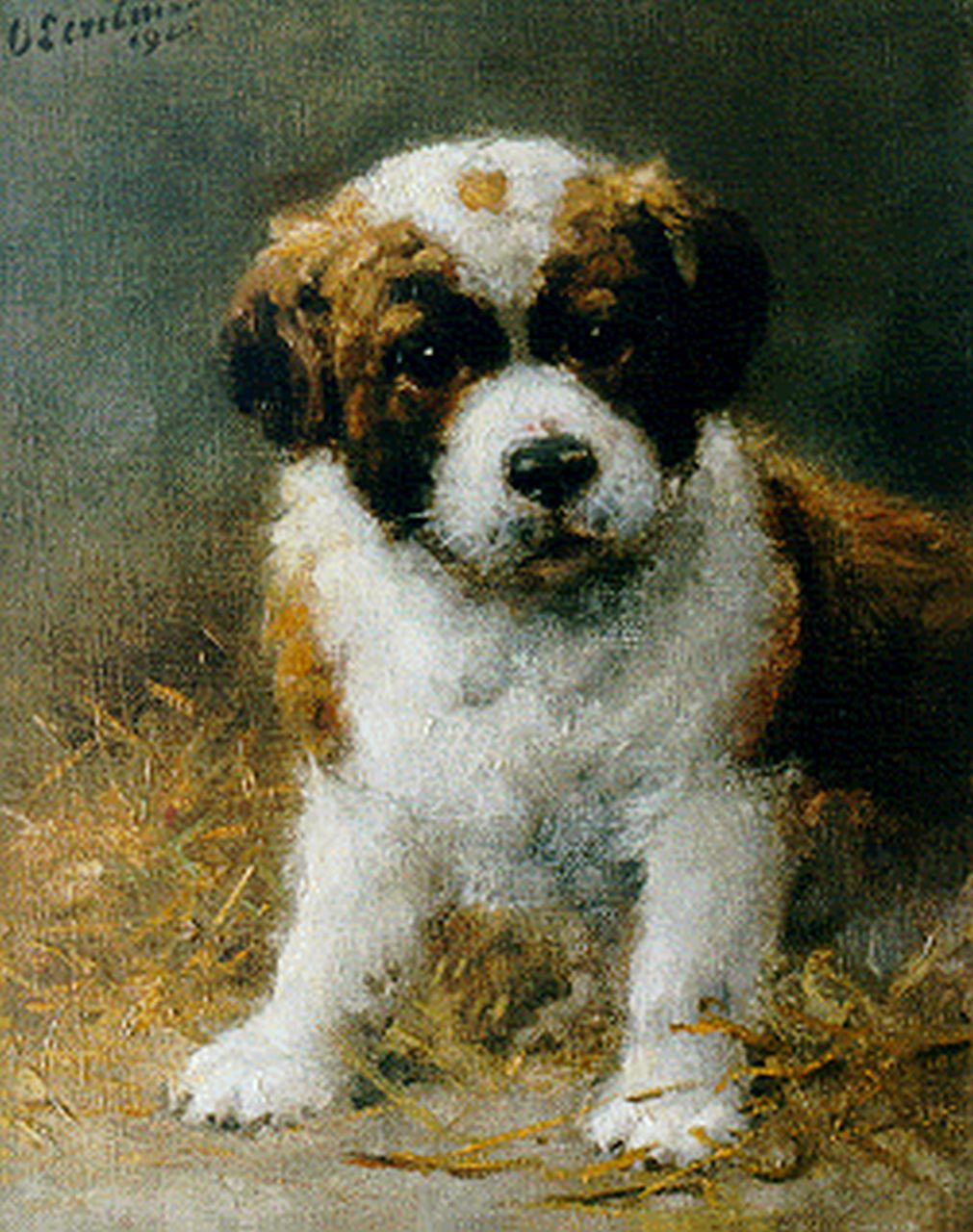 Eerelman O.  | Otto Eerelman, Sint-Bernard pup, olieverf op doek 30,2 x 24,4 cm, gesigneerd linksboven en gedateerd 1925