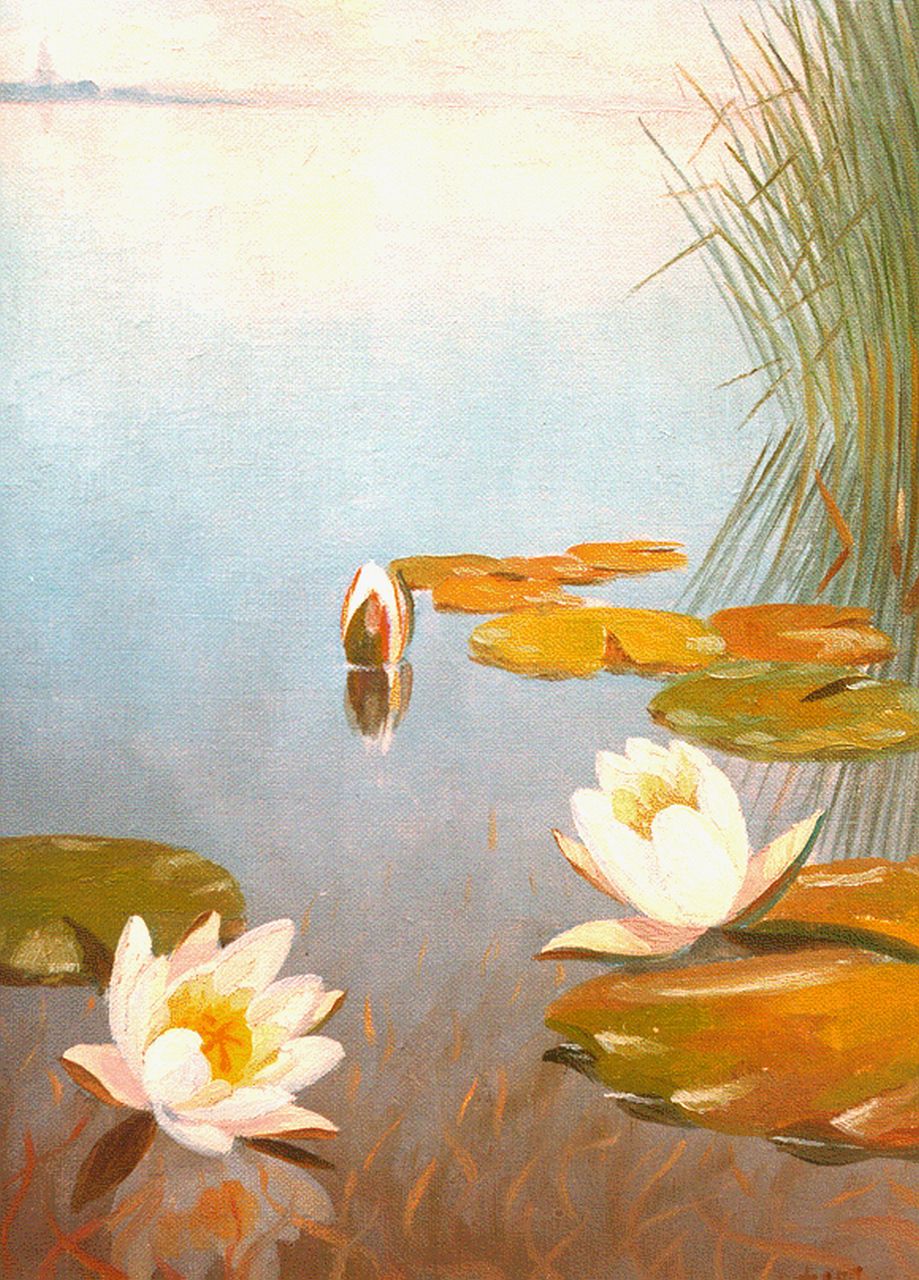 Smorenberg D.  | Dirk Smorenberg, Waterlelies, olieverf op doek 30,0 x 20,0 cm, gesigneerd rechtsonder