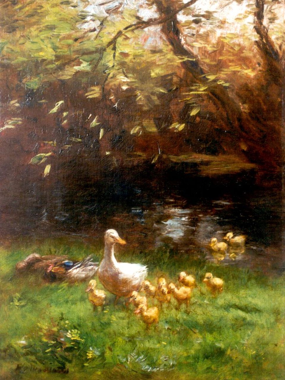 Maris W.  | Willem Maris, Moedereend met haar kuikens aan de waterkant, olieverf op doek 47,7 x 36,0 cm, gesigneerd linksonder