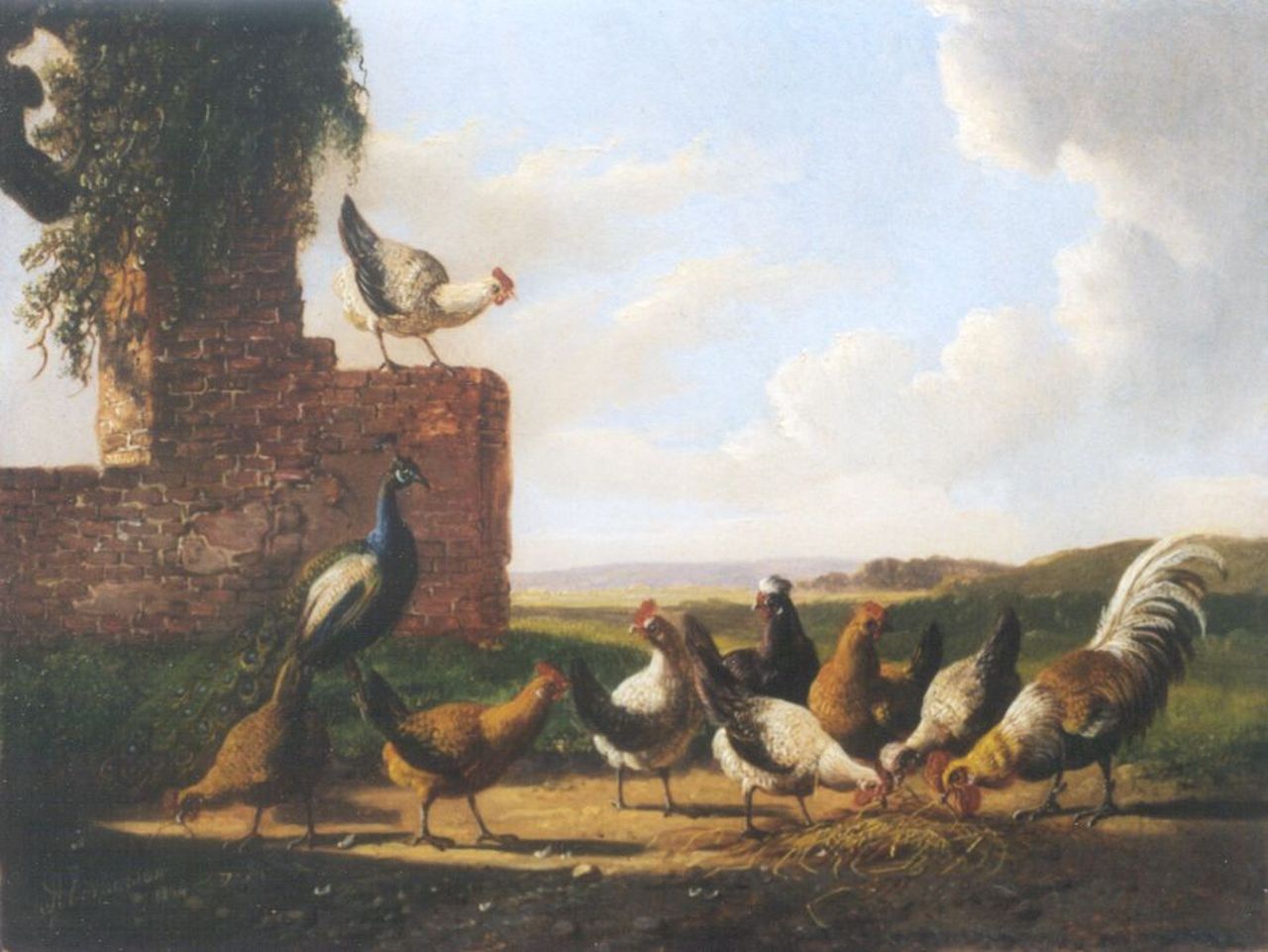 Verhoesen A.  | Albertus Verhoesen, Haan, kippen en een pauw bij een ruïne, olieverf op paneel 18,1 x 23,8 cm, gesigneerd linksonder en gedateerd 1874