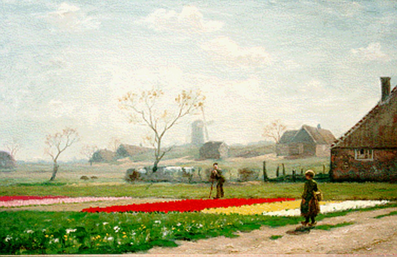 Gildemeester A.  | Anna Gildemeester, Bloembollenveld bij de boerderij, olieverf op doek 46,0 x 72,0 cm, gesigneerd linksonder