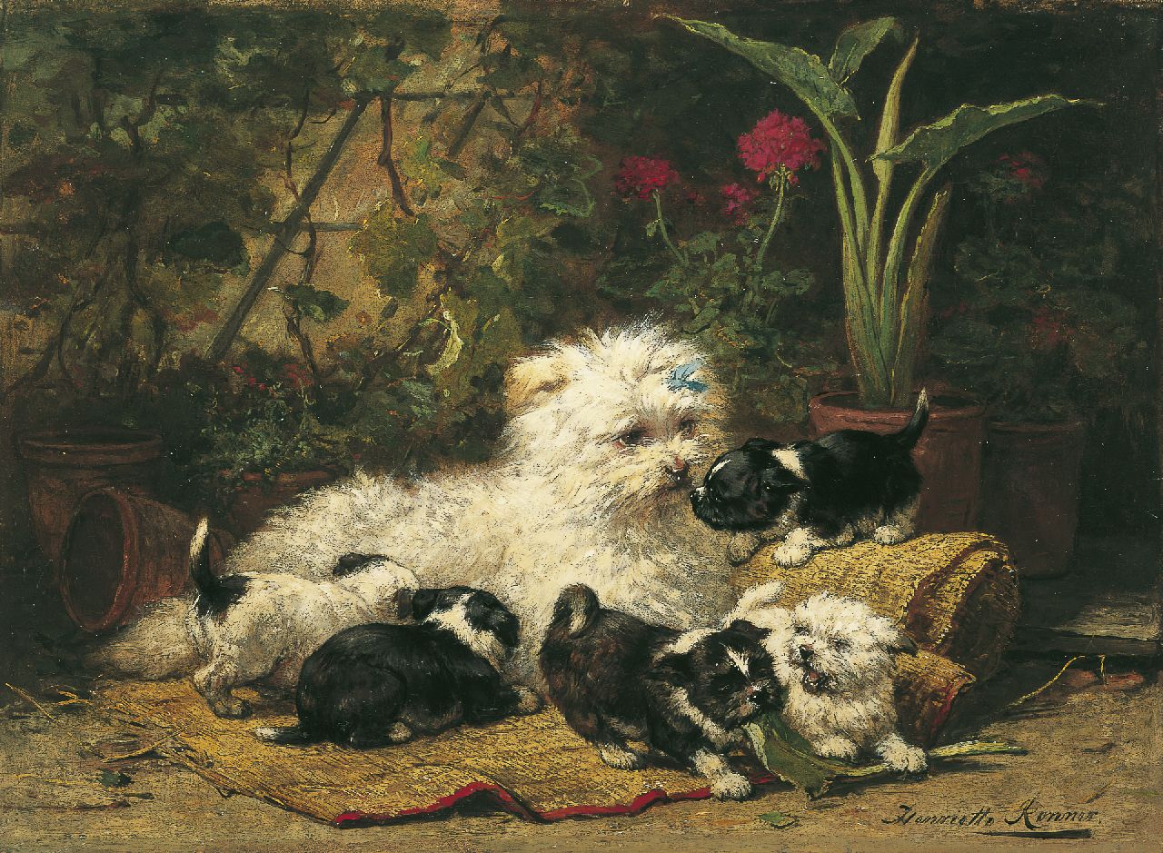 Ronner-Knip H.  | Henriette Ronner-Knip, Cairn Terriër met pups, olieverf op paneel 32,9 x 45,0 cm, gesigneerd rechtsonder