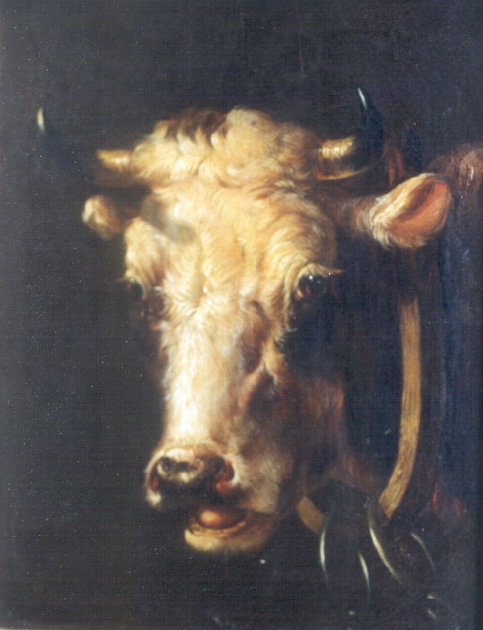 Verhoesen A.  | Albertus Verhoesen, Kop van een koe, olieverf op paneel 17,1 x 13,7 cm, gesigneerd linksonder