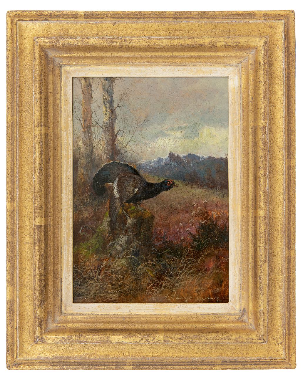 Hänger M.  | Max Hänger | Schilderijen te koop aangeboden | Auerhoen naar rechts kijkend (uit een paar), olieverf op paneel 19,7 x 13,8 cm, gesigneerd rechtsonder