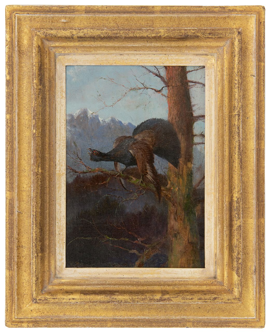 Hänger M.  | Max Hänger | Schilderijen te koop aangeboden | Auerhaan naar links kijkend   (uit een paar), olieverf op paneel 19,2 x 13,2 cm, gesigneerd linksonder
