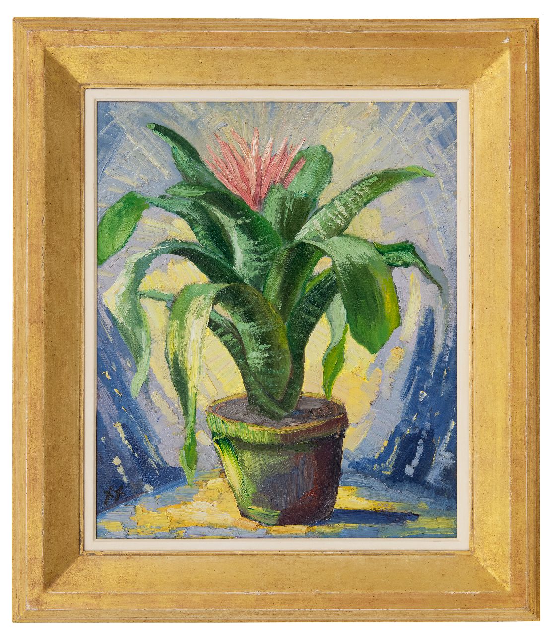 Kruysen J.  | Johannes 'Jan' Kruysen | Schilderijen te koop aangeboden | Bromelia in aardewerken pot, olieverf op schildersboard 45,8 x 37,8 cm, gesigneerd linksonder met monogram