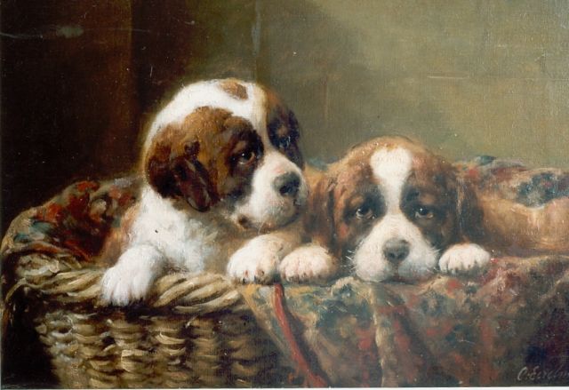 Eerelman O.  | Twee St. Bernhard puppies in een mand, olieverf op doek 29,0 x 44,0 cm, gesigneerd r.o.