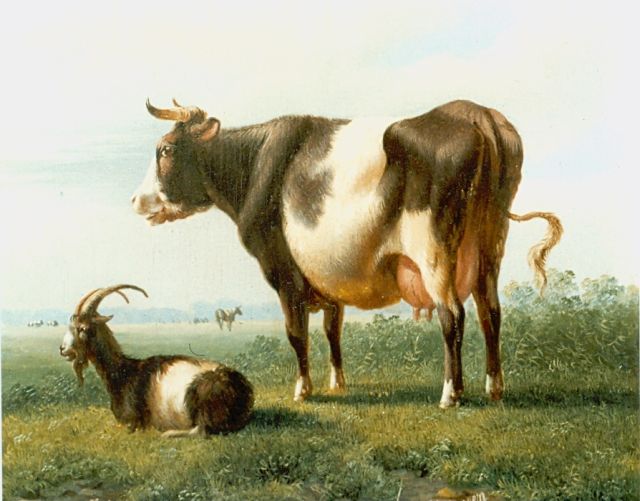 Verhoesen A.  | Koeien en bokje in de wei, olieverf op doek 14,3 x 16,5 cm, gesigneerd r.o.