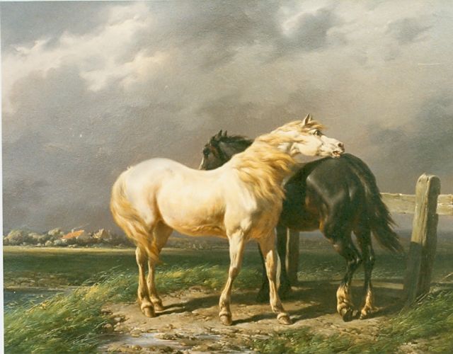 Wouterus Verschuur | Paarden in de weide, olieverf op paneel, 28,0 x 36,0 cm, gesigneerd r.o.