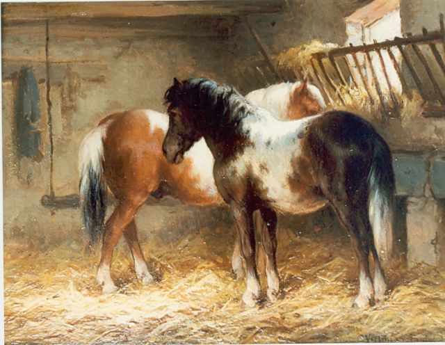 Wouter Verschuur jr. | Paarden in de stal, olieverf op paneel, 15,0 x 20,0 cm, gesigneerd r.o.