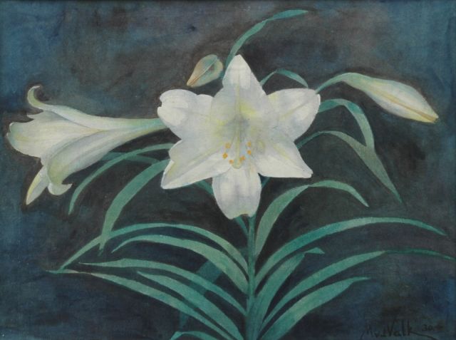 Valk M.W. van der | Witte lelie, potlood en aquarel op papier 27,9 x 36,8 cm, gesigneerd r.o. en gedateerd '30
