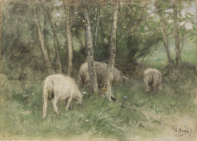 Mauve A.  | Grazende schapen tussen berkenbomen (verloren gegaan bij brand in Armando Museum, 22.10.2007), potlood en aquarel op papier op paneel 25,1 x 35,1 cm, gesigneerd r.o.