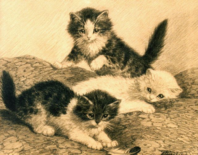 Raaphorst C.  | Spelende katjes, tekening op papier 27,5 x 34,0 cm, gesigneerd r.o.