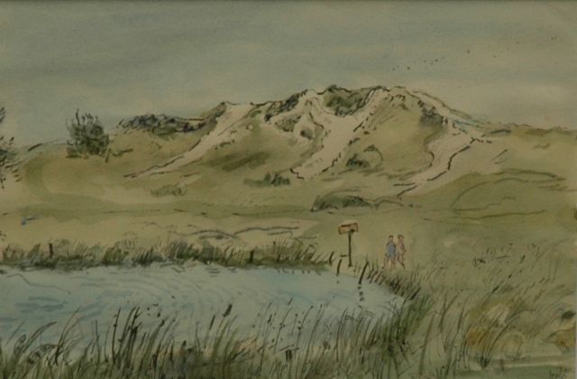 Kamerlingh Onnes H.H.  | In de duinen, Terschelling, pen, inkt en aquarel op papier 17,5 x 25,5 cm, gesigneerd r.o. met monogram en gedateerd '71
