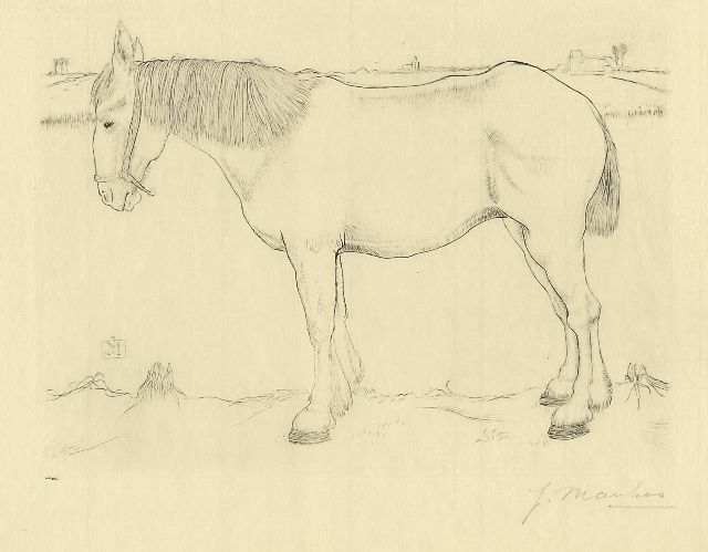 Mankes J.  | Paard naar links staand, kopergravure op papier 14,0 x 17,5 cm, gesigneerd r.o. voluit (in potlood) en met mon. in de plaat en te dateren 1917