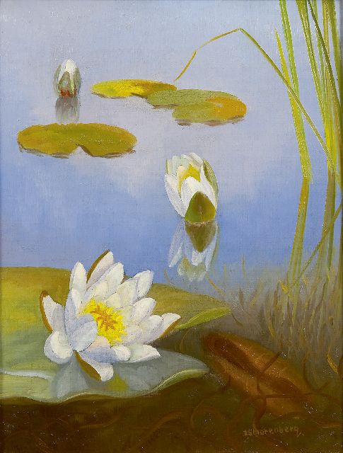 Dirk Smorenberg | Waterlelies, olieverf op doek, 32,2 x 25,2 cm, gesigneerd r.o.