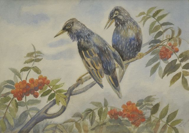 Kelting M.  | Twee spreeuwen op een tak, aquarel op papier op karton 25,5 x 35,9 cm, gesigneerd r.o.