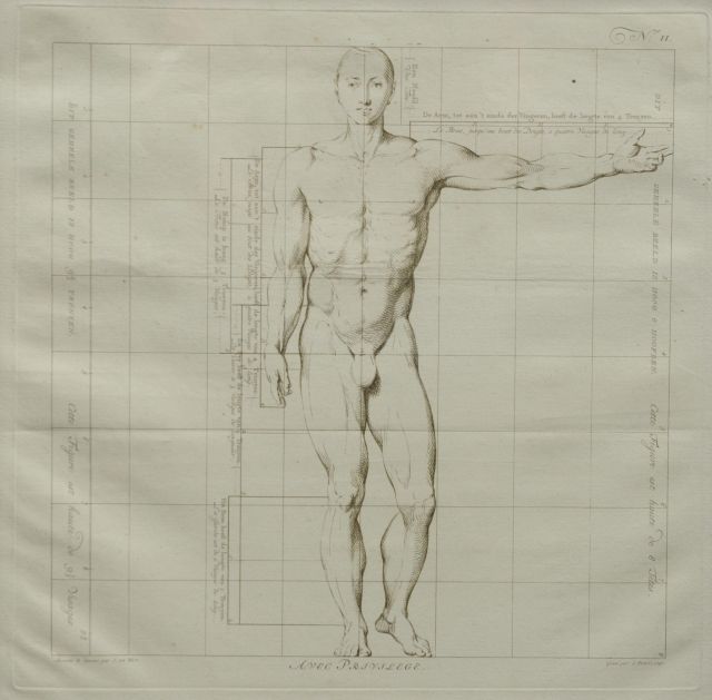 Wit J. de | De ideale proporties van het menselijk lichaam - Man (no.II), gravure op papier 40,0 x 40,0 cm