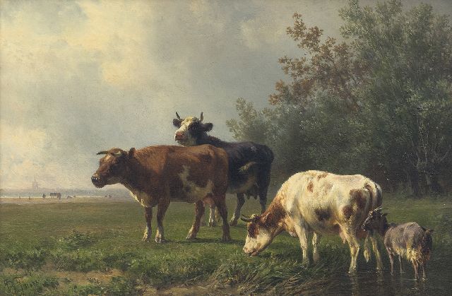 Jan Bedijs Tom | Grazende koeien (alleen samen met pendant), olieverf op paneel, 19,7 x 29,4 cm, gesigneerd l.o.