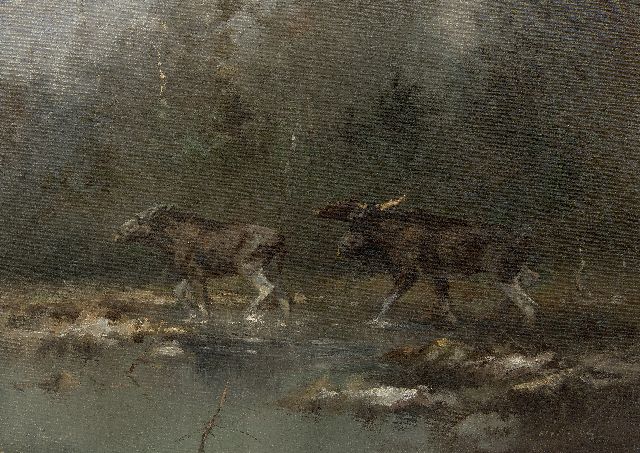 Schatz M.  | Elandenpaar bij een rivier, olieverf op doek 40,0 x 55,6 cm, gesigneerd r.o.