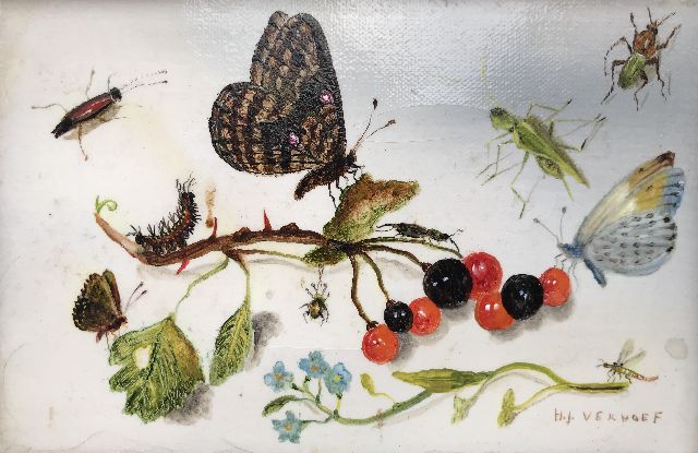 Verhoef H.  | Stilleven met vlinders, insecten en bessen, olieverf op doek 10,3 x 15,5 cm, gesigneerd r.o.