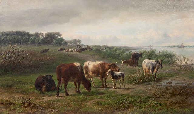 Tom J.B.  | Koeien langs een rivier, mogelijk de Rijn in Gelderland, olieverf op doek 72,3 x 122,5 cm, gesigneerd r.o. en gedateerd 1874