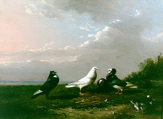 Severdonck F. van | Duiven en een eend in een landschap, olieverf op paneel 16,7 x 22,7 cm, gesigneerd l.o.