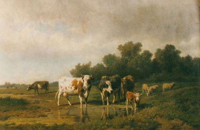 Savrij H.  | Bont vee en schapen bij een waterplas, olieverf op doek 81,0 x 127,0 cm, gesigneerd r.o.
