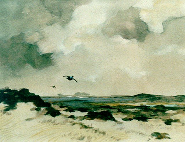 Schrijnder J.A.  | Eenden boven waterlandschap, aquarel en gouache op papier 21,0 x 27,6 cm, gesigneerd r.o.