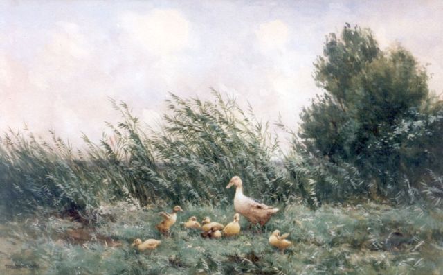 Artz C.D.L.  | Eendenfamilie in het gras, aquarel op papier 33,5 x 53,5 cm, gesigneerd l.o.