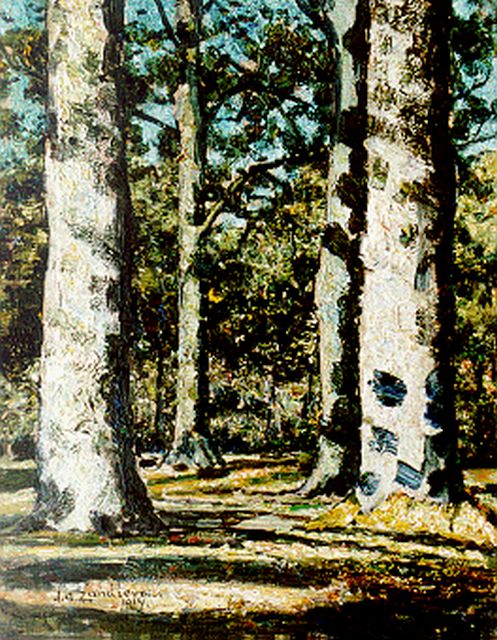 Zandleven J.A.  | Zonovergoten bosgezicht, olieverf op doek op schildersboard 41,0 x 32,0 cm, gesigneerd l.o. en gedateerd 1914