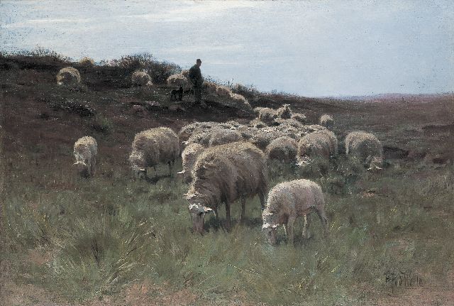 Weele H.J. van der | Herder met schaapskudde op de hei, olieverf op doek 58,7 x 86,9 cm, gesigneerd r.o.
