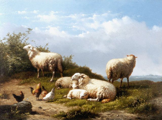 Maes E.R.  | Weidelandschap met schapen en pluimvee, olieverf op paneel 18,8 x 25,0 cm, gesigneerd r.o.