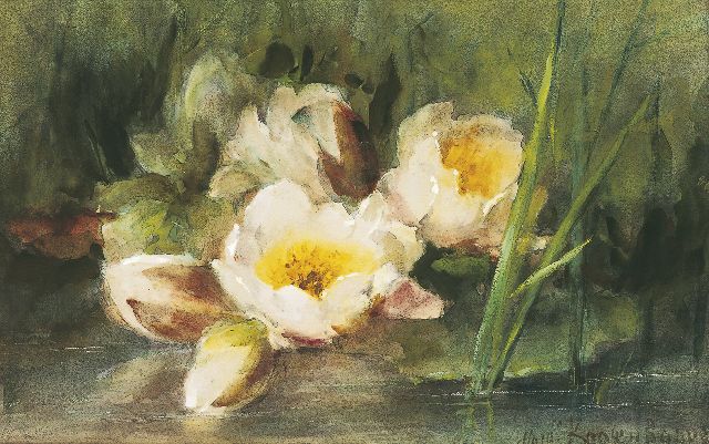 Margaretha Roosenboom | Waterlelies, aquarel op papier, 33,0 x 51,7 cm, gesigneerd r.o.