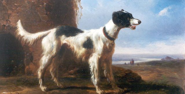 Verschuur W.  | Portret van een jachthond, olieverf op koper 8,6 x 14,0 cm, gesigneerd l.o. met monogram en gedateerd 1847
