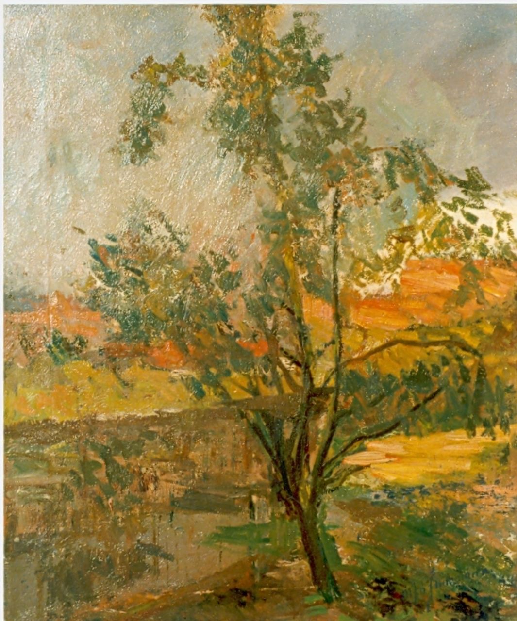 Maarten Jungmann | Impressie van een boom aan het water, olieverf op doek, 57,3 x 48,0 cm, gesigneerd r.o.