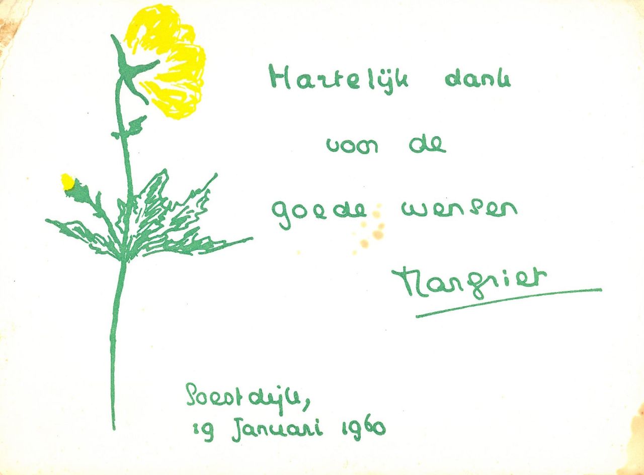 Oranje-Nassau (Prinses Margriet) M.F. van | Margriet Francisca van Oranje-Nassau (Prinses Margriet), Boterbloem, groene en gele inkt op papier (ansichtkaart) 11,0 x 15,0 cm, gesigneerd in het midden en gedateerd 'Soestdijk, 19 januari 1960'