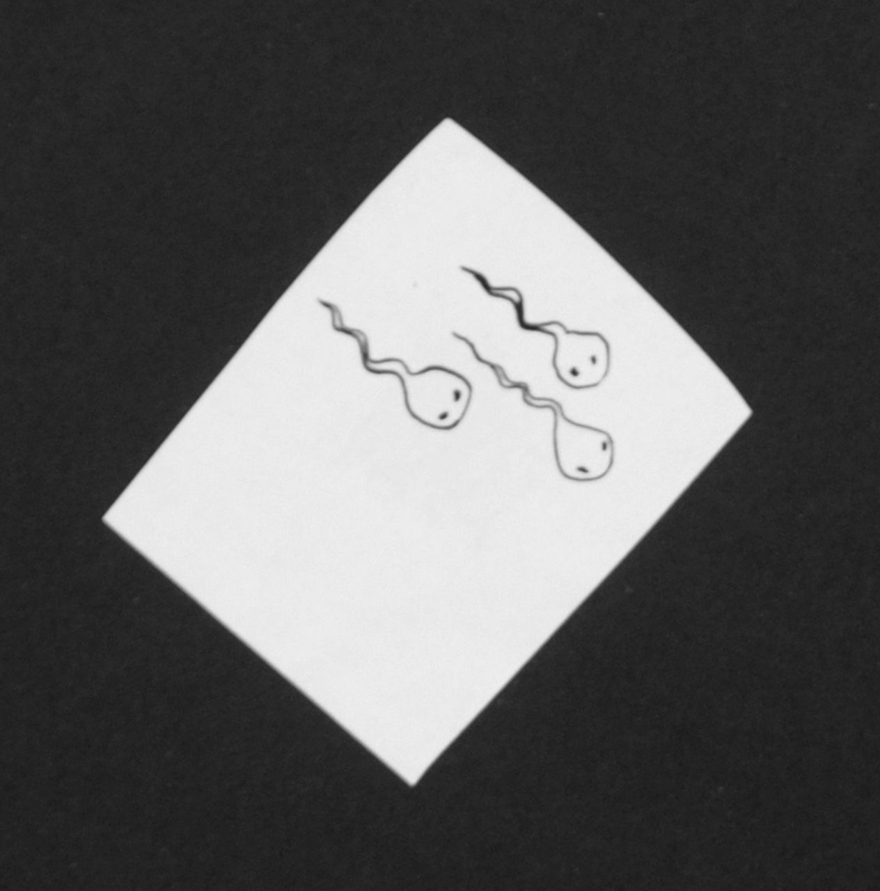 Oranje-Nassau (Prinses Beatrix) B.W.A. van | Beatrix Wilhelmina Armgard van Oranje-Nassau (Prinses Beatrix), Drie kikkervisjes, potlood en Oost-Indische inkt op papier 5,2 x 4,1 cm, te dateren augustus 1960